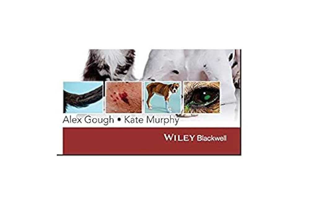 【中古】 Small Animal Medical Differential Diagnosis: A Book of Lists/SAUNDERS W B CO/Mark Thompson Small Animal Medical Differential Diagnosis: A Book of Lists